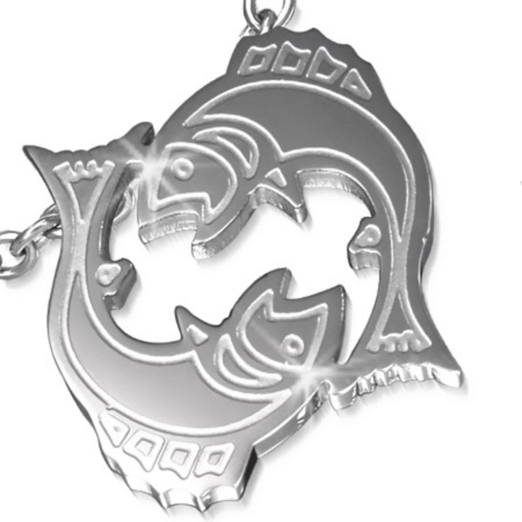 'Vissen' horoscoop / sterrenbeeld hanger in edelstaal, Handtassen en Accessoires, Ophalen of Verzenden, Nieuw