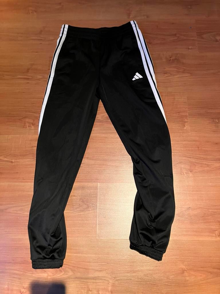 Adidas trainingsbroek, Neuf, Taille 36 (S), Enlèvement, Autres types