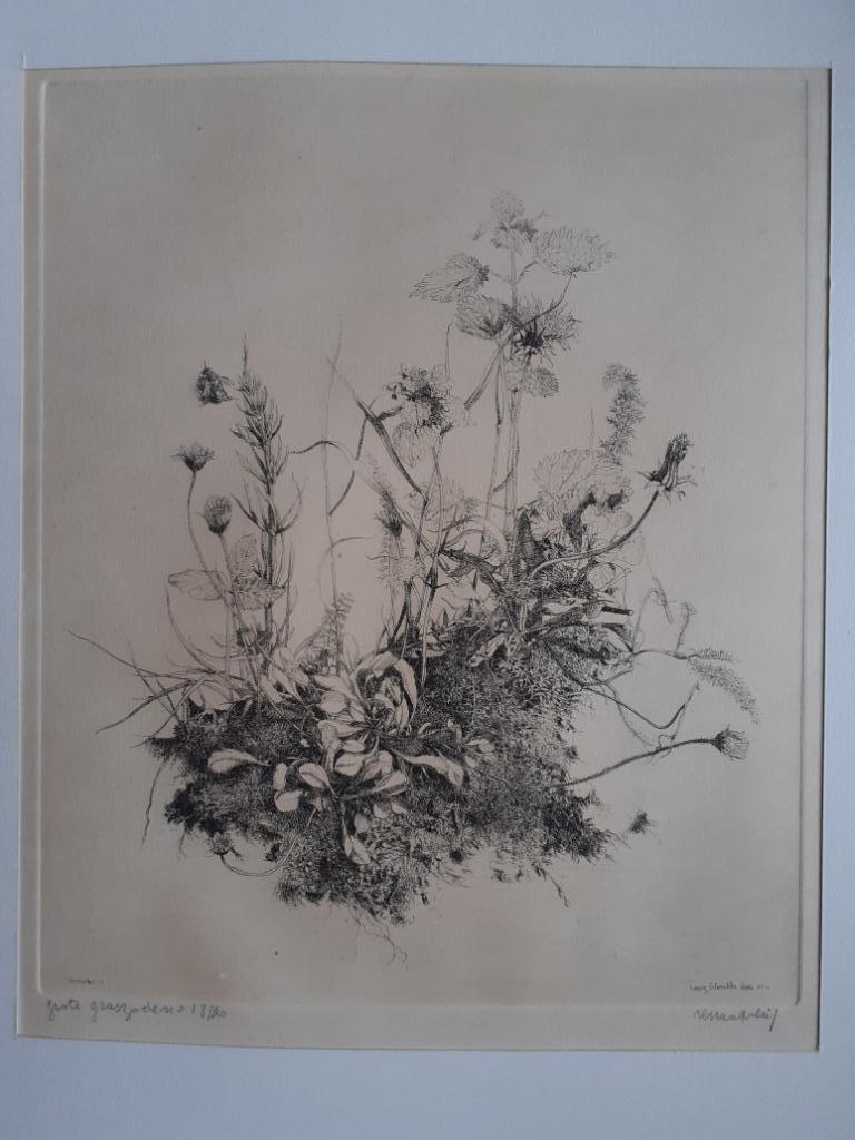 « Gros gazon » - Renaat Veris, Antiquités & Art, Art | Eaux-fortes & Gravures, Enlèvement