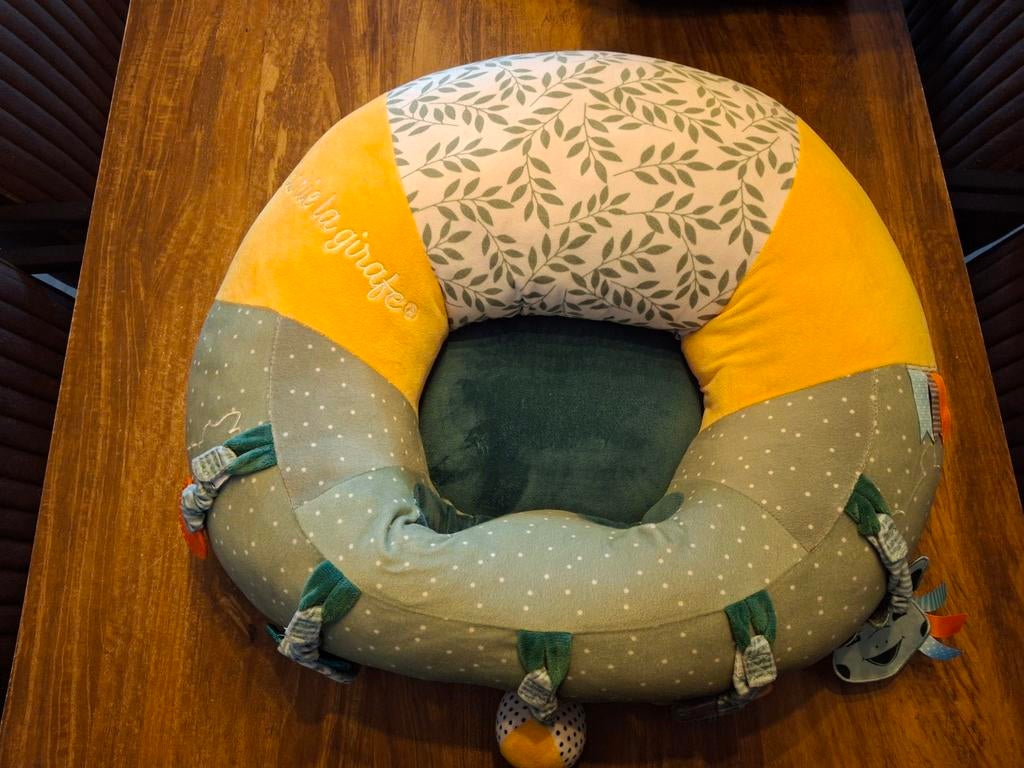 Sophie de giraf zitkussen, Enlèvement