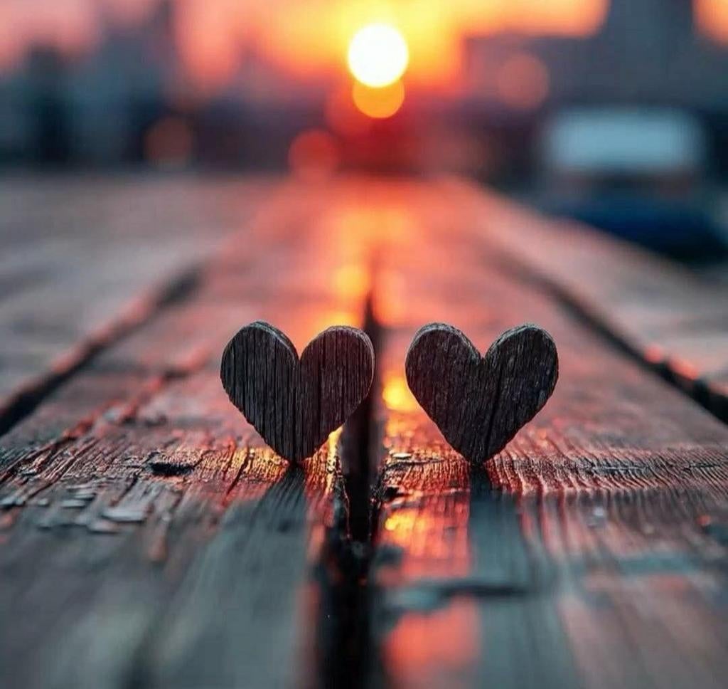 Verzorgster, Dieren en Toebehoren, Paarden