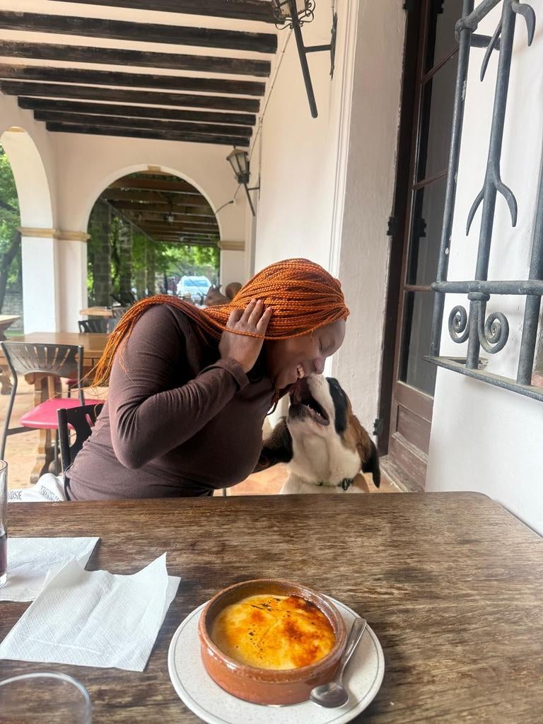 Hondenoppas, Dieren en Toebehoren, Augustus, Vrouwelijk