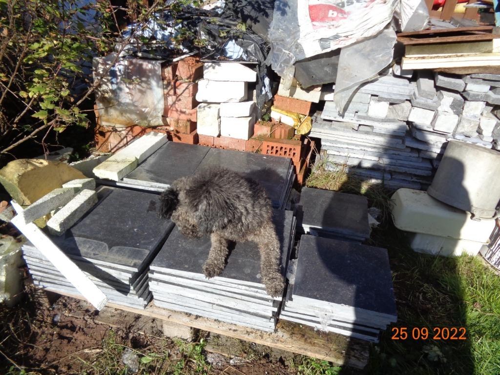 carrelage petit granit de Soignies, Neuf, 20 à 40 cm, Carrelage de sol, Enlèvement