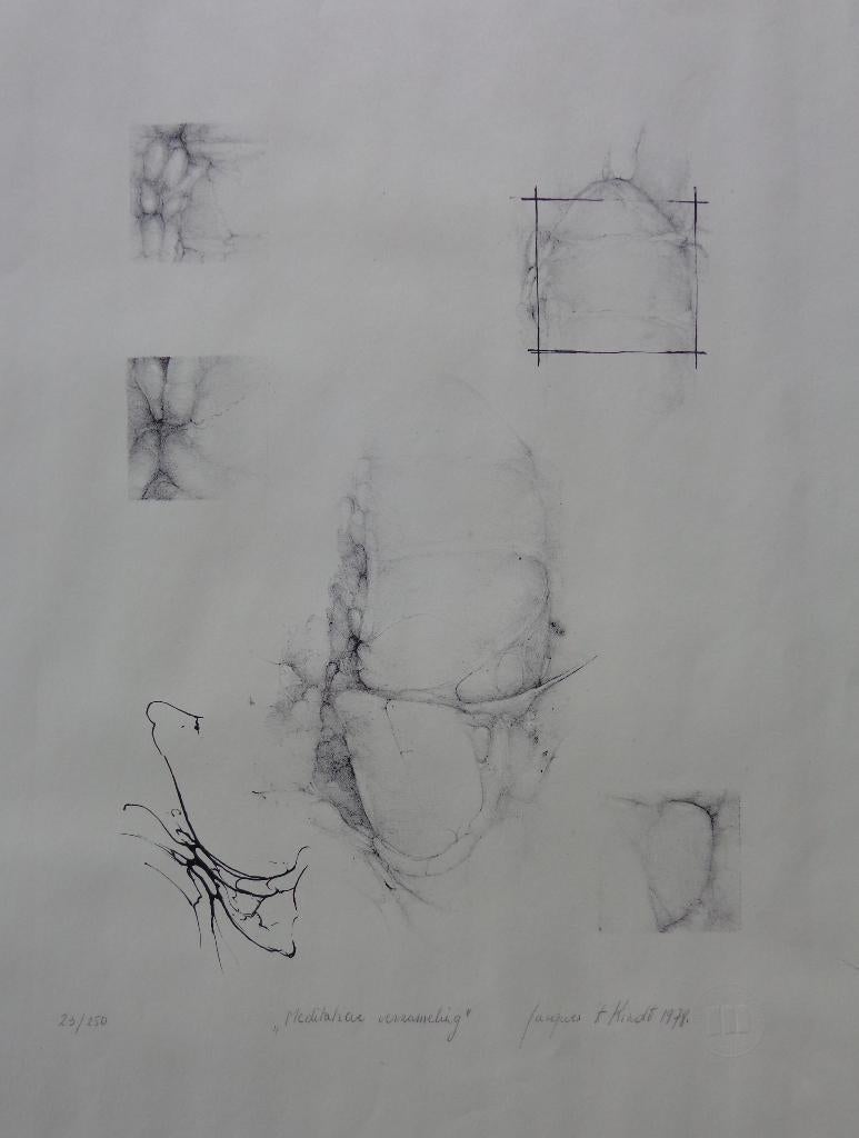 JACQUES 't KINDT / MEDITATIEVE VERZAMELING / LITHO / 70x50cm, Antiquités & Art, Art | Lithographies & Sérigraphies, Enlèvement ou Envoi