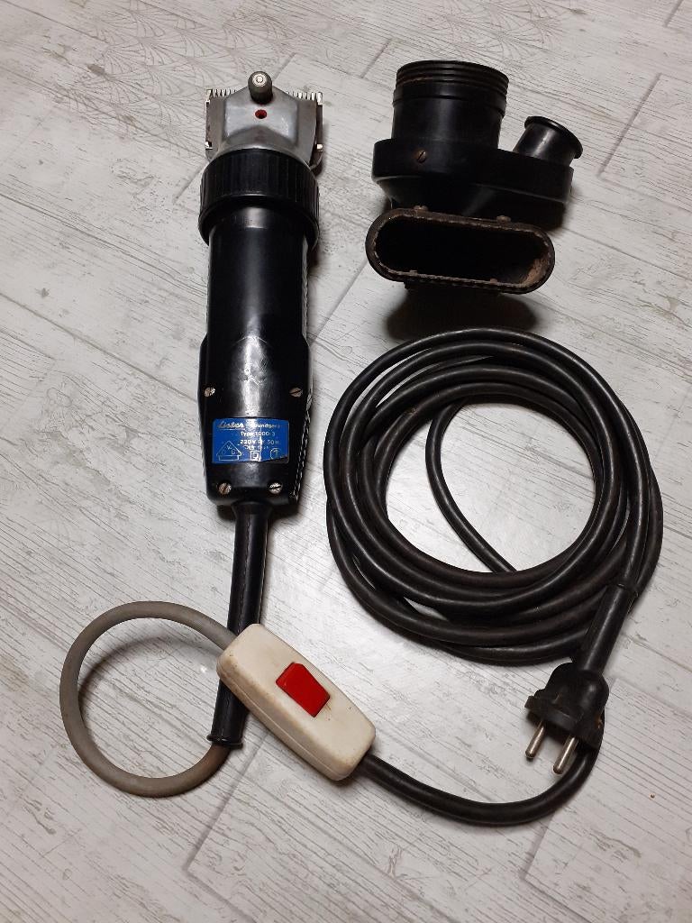 paardentandeus, Dieren en Toebehoren, Ophalen, Gebruikt