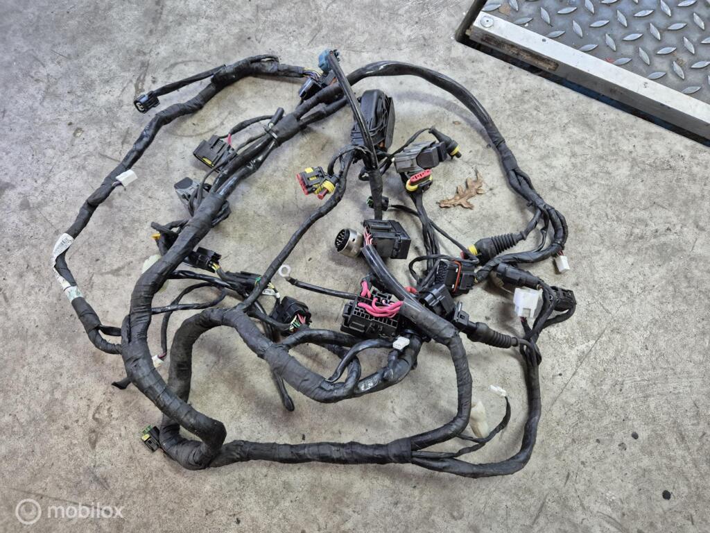 Ducati Panigale 1199 1299 899 959 51017921C kabelboom, Motoren, Onderdelen | Ducati, Gebruikt, Ophalen of Verzenden