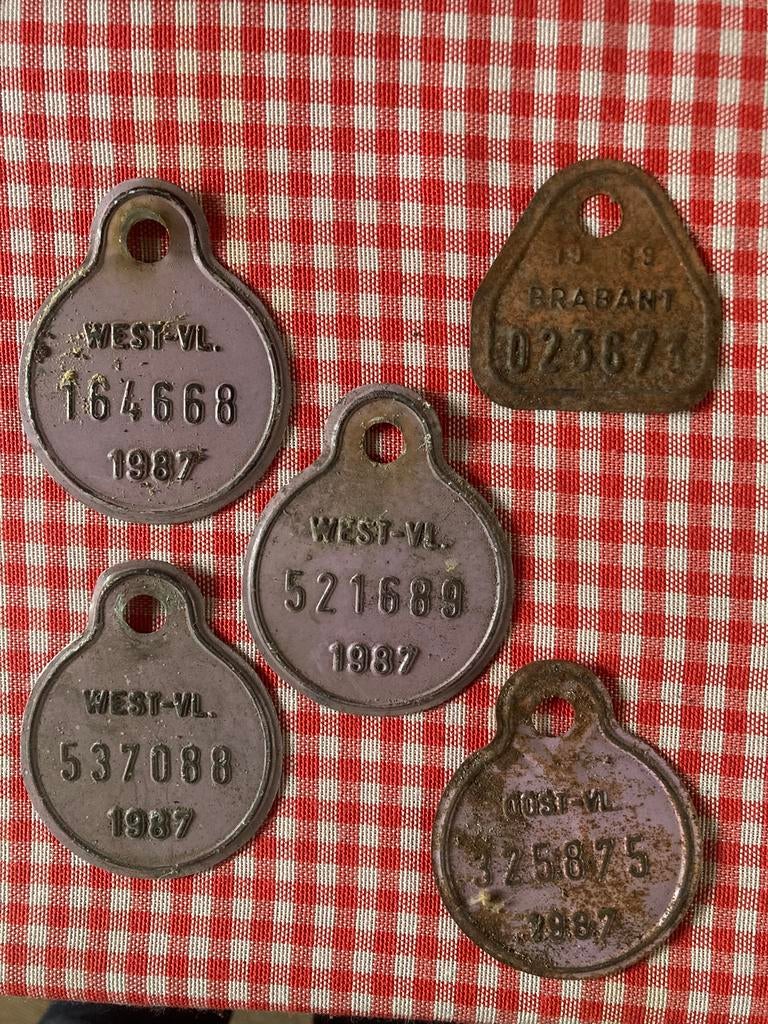 5 oude fietsnummerplaten, Ophalen