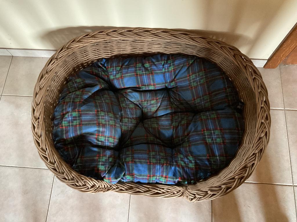 Honden riet mand, Enlèvement, Comme neuf, Roseau