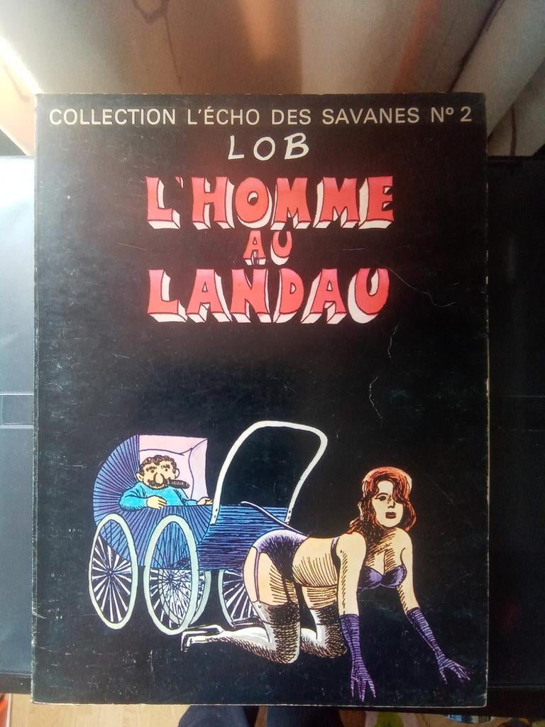 B.D. L'homme au Landau (1977), Enlèvement ou Envoi