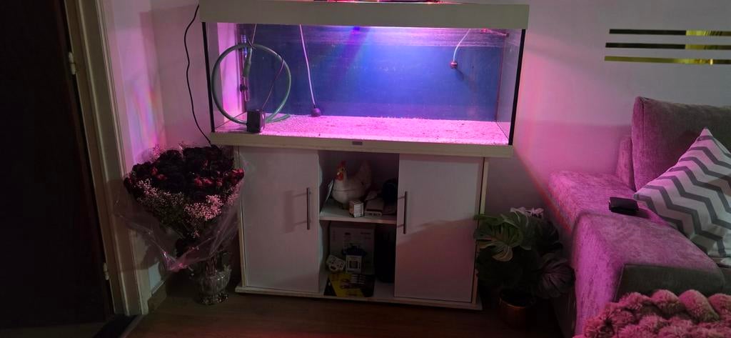 aquarium, Games en Spelcomputers, Spelcomputers | Nintendo Switch, Ophalen of Verzenden