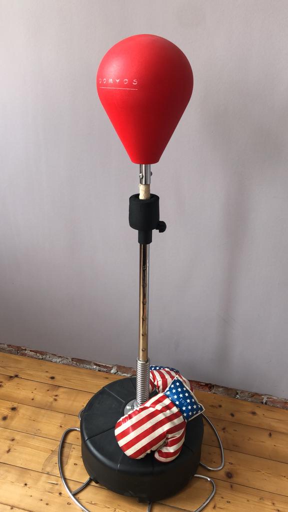 Boksbal + handschoenen, Sport en Fitness, Ophalen, Gebruikt, Boksbal