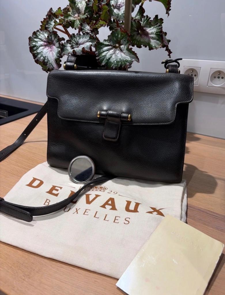 Delvaux Do Majeur TT café, Ophalen of Verzenden, Nieuw, Bruin, Handtas