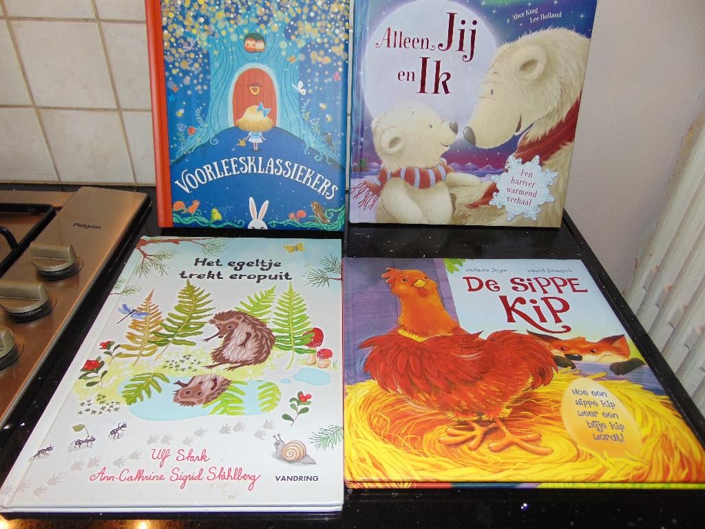 Voorleesboeken/prentenboeken in prima staat, Garçon ou Fille, Enlèvement ou Envoi, Utilisé, Contes (de fées)