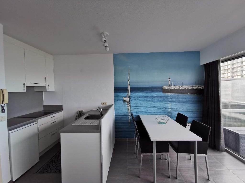 Studios à louer Nieuwpoort Bad, Vacances, Maisons de vacances | Belgique, Anvers et Flandres, Appartement, Ville, Mer, 1 chambre