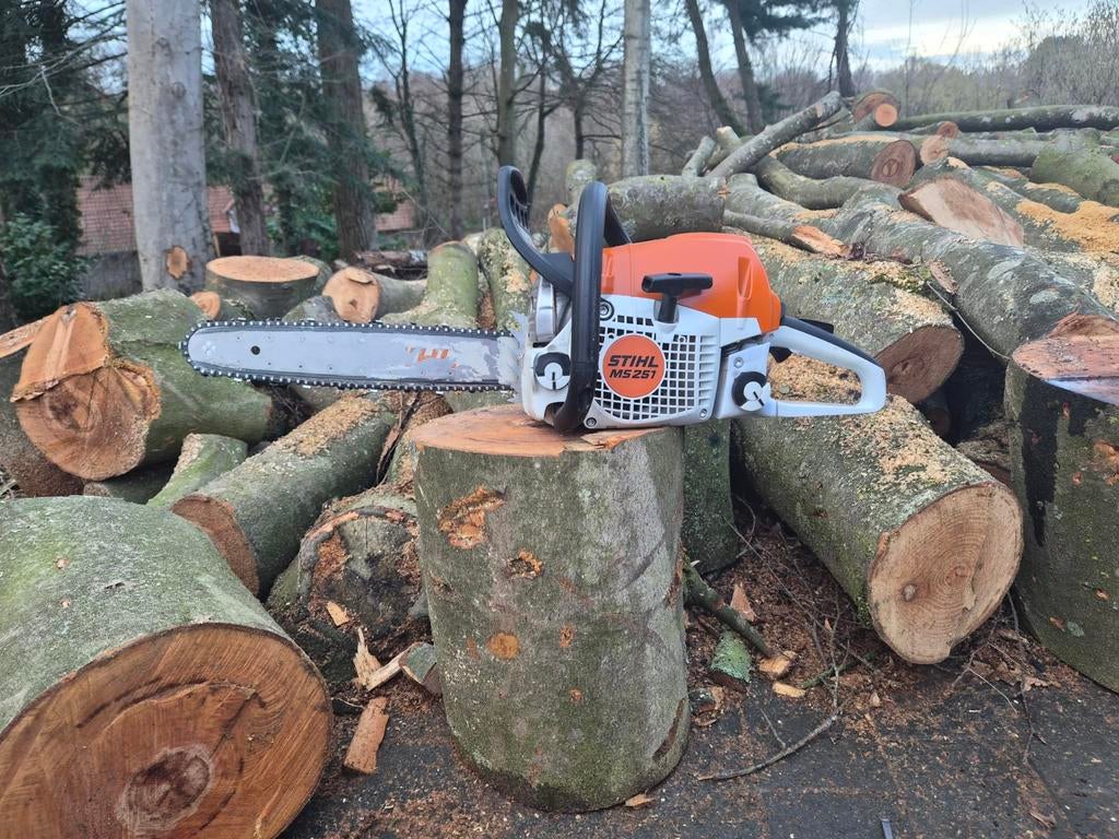Stihl MS 251, Jardin & Terrasse, Enlèvement