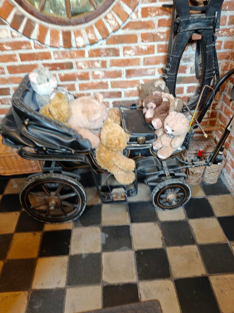 Unieke hondenkoets, Ophalen of Verzenden, Zo goed als nieuw