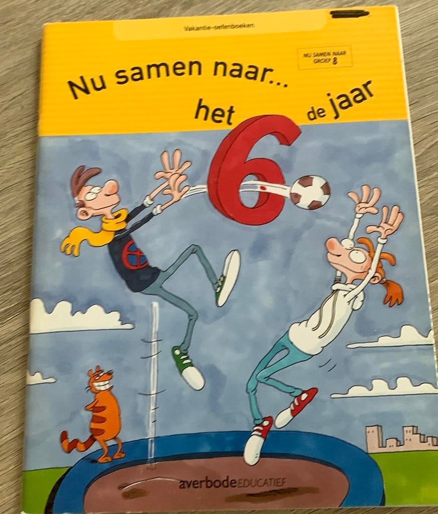 Nu samen naar... het zesde jaar vakantie oefenboek, Boeken, Schoolboeken, Ophalen of Verzenden, Nederlands, R. Staelens