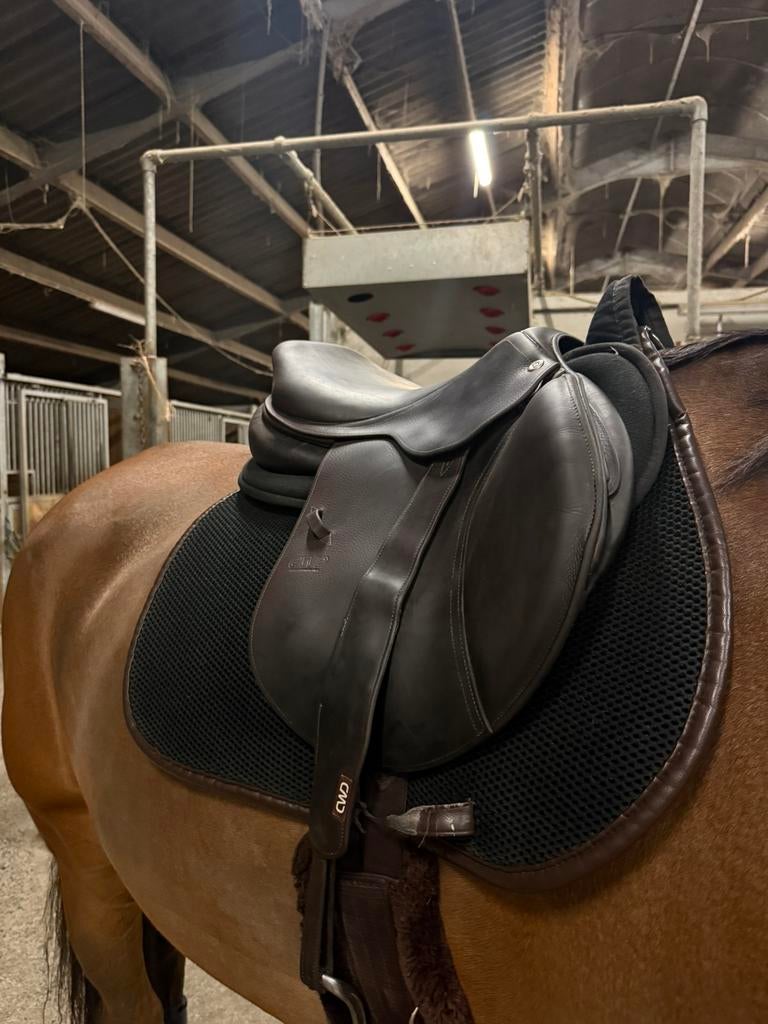 Ensemble complet CWD S02 17,5 pouces, Enlèvement, Utilisé, Obstacle