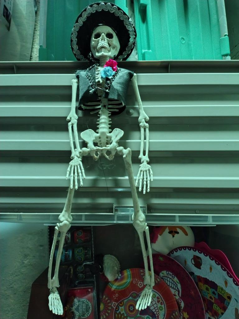 skelet in kostuum om op te hangen halloween, Enlèvement ou Envoi, Neuf, Décoration