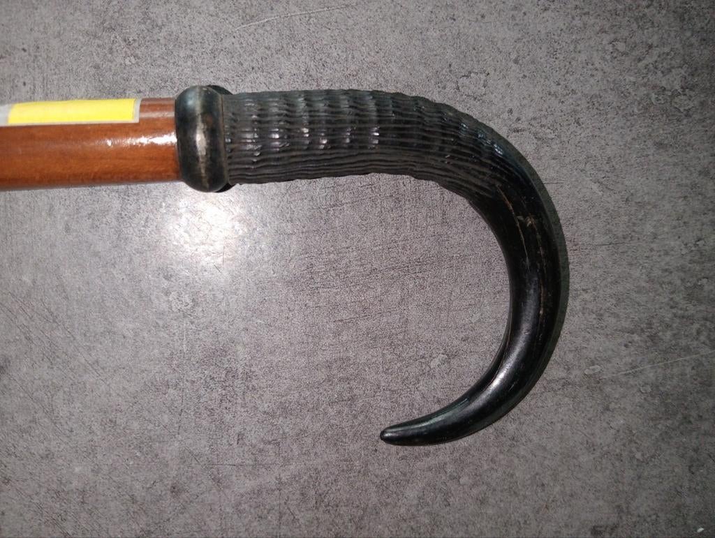 Ancienne canne suisse corne