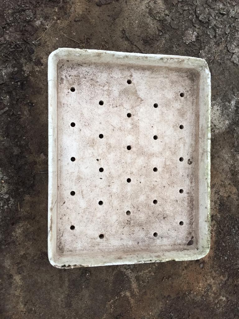 Gratis piepschuim zaaibakken te verkrijgen ., Ophalen, Gebruikt