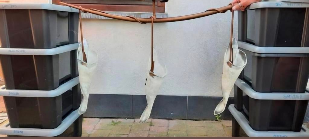 1 hangluchter van massive en 2 wandlichten, Huis en Inrichting, Lampen | Kroonluchters, Ophalen, Zo goed als nieuw