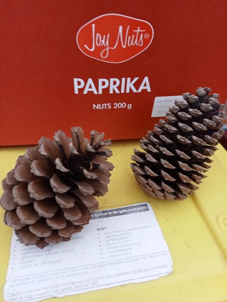 Dennenappels, grote dennenappels, Ophalen, Nieuw