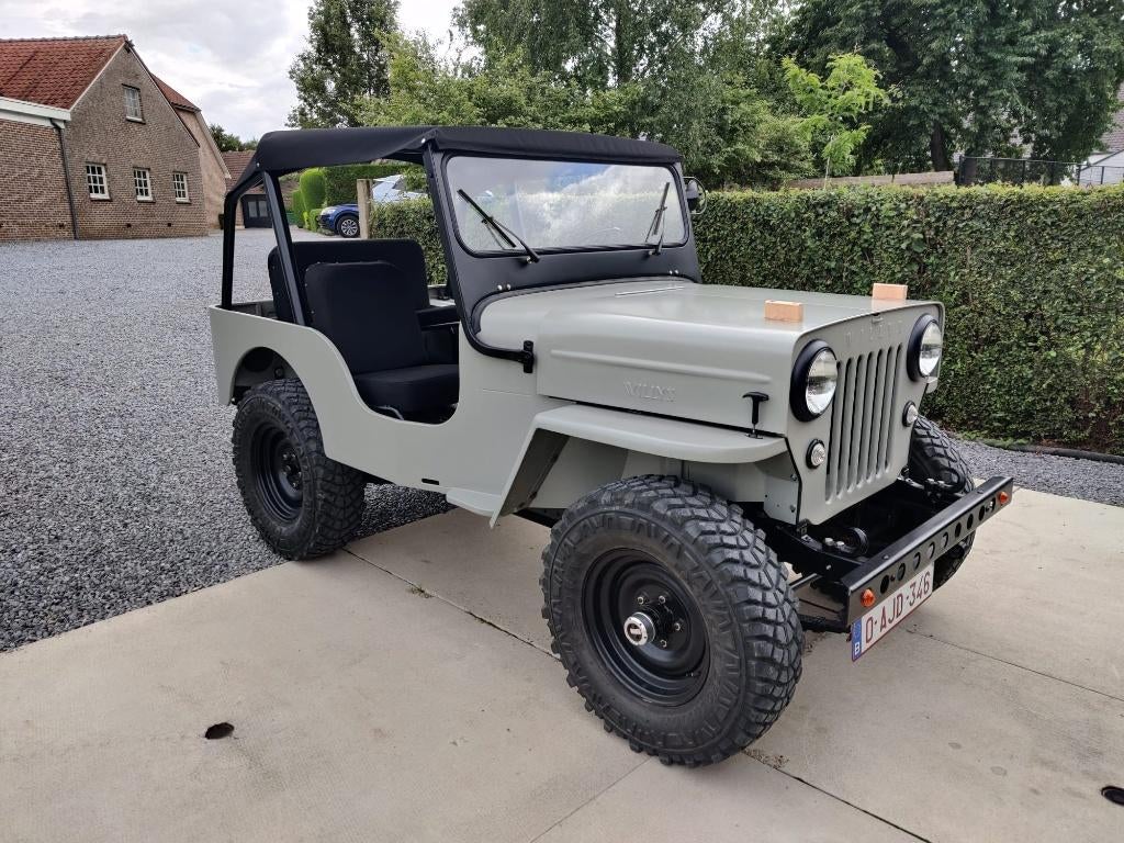 Jeep Willys CJ3B, Auto's, Jeep, 4 cilinders, CJ, Handgeschakeld, Particulier
