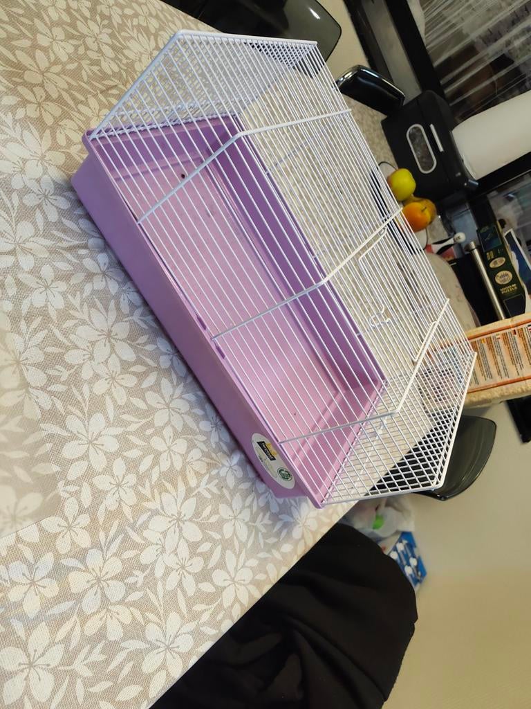 Cage à hamster en fibre de bois, Moins de 60 cm, Cage, Comme neuf, Rat