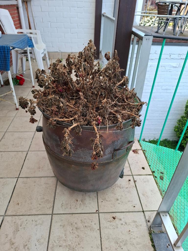 Oude koperen ketel, Enlèvement, Cuivre