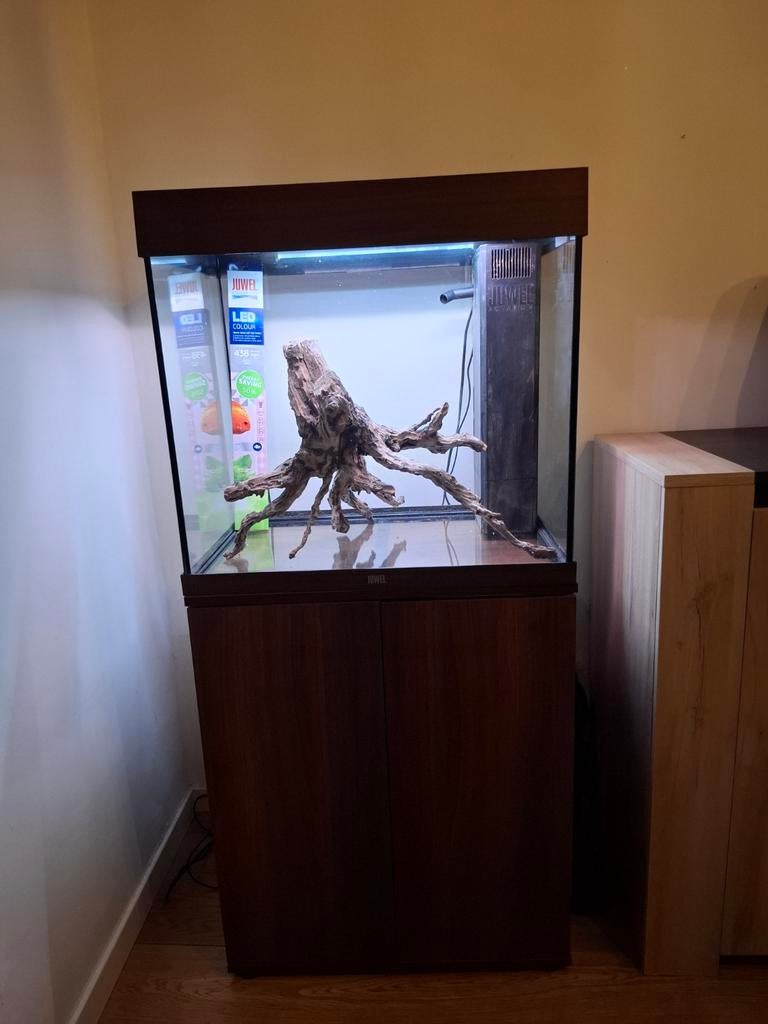 Te koop aquarium juwel lido120l, Animaux & Accessoires, Poissons | Aquariums & Accessoires, Pompe, Juwel, Enlèvement