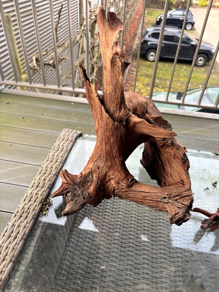 Deco aquarium, Animaux & Accessoires, Enlèvement, Utilisé, Plante(s), Pierre ou Bois