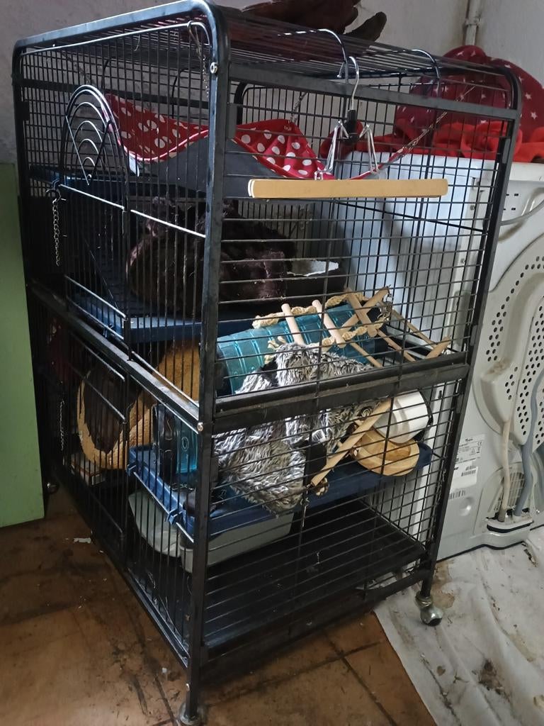 Fretten kooi, Ophalen, Kooi