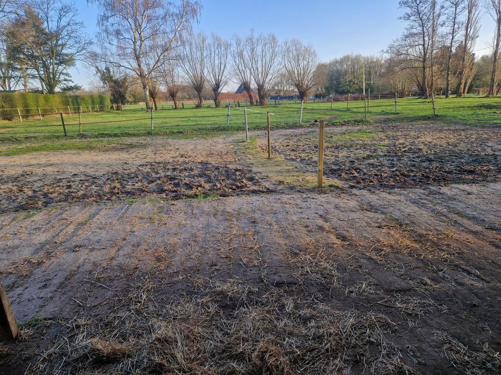 Weide 4080m² te Kapellen, Dieren en Toebehoren