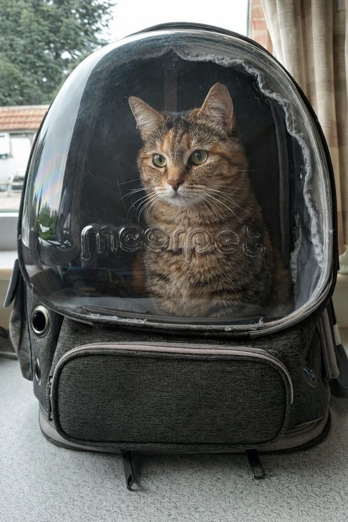 Moorpet katten draagrugzak met bubbelvenster, Ophalen of Verzenden