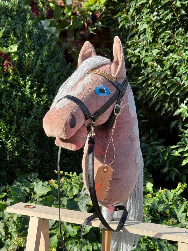 Hobby Horse Cam, Enlèvement