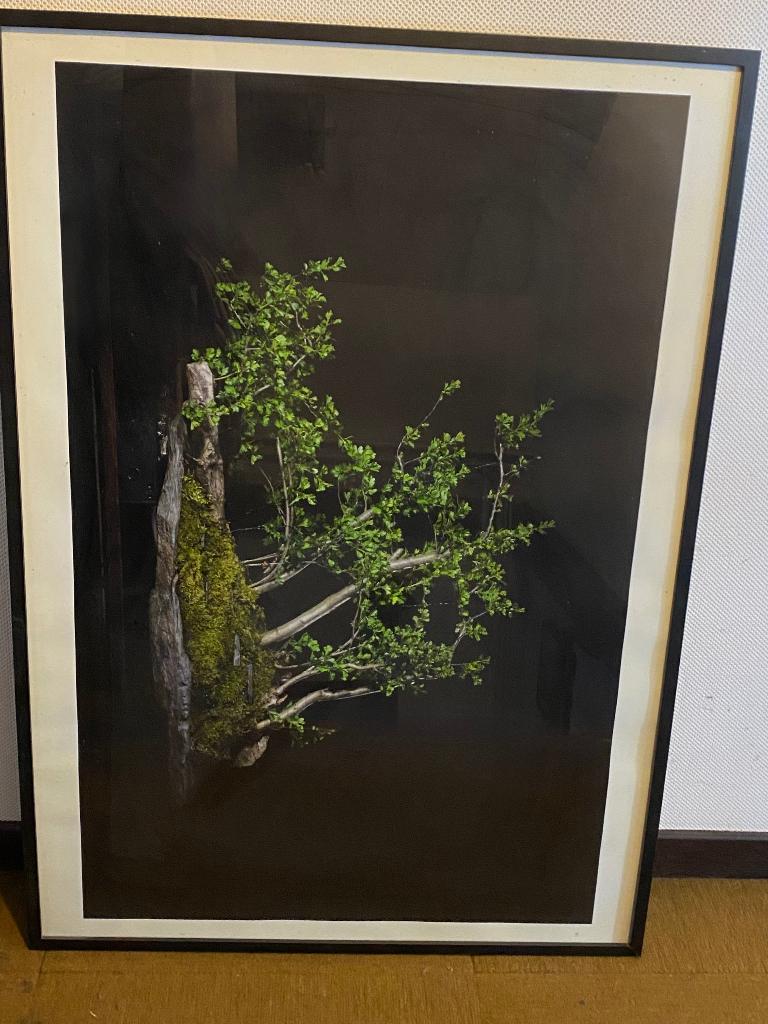 Cadre IKEA noir  100 X70 avec photo + verre, Enlèvement, Comme neuf