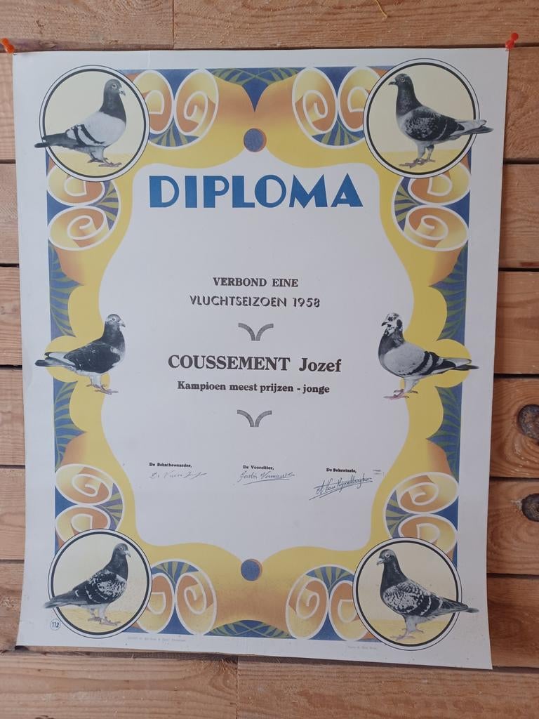 Diplôme Pigeon