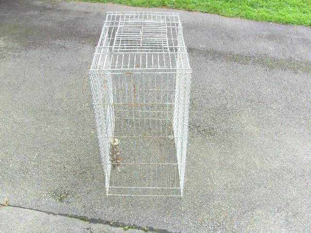 Cage solide perroquet ou autres Adam D, Animaux & Accessoires, Oiseaux | Cages & Volières, Utilisé, Cage à oiseaux, Autres matériaux