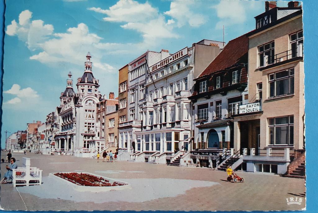 Carte vintage NIEUPOORT NIEUPORT la digue ZEEDIJK, Enlèvement ou Envoi