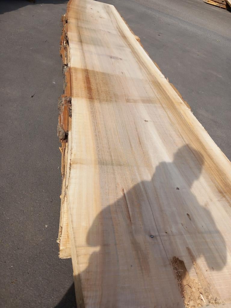 Boomstamtafels tafelbladen planken Wandplanken badkamer, Ophalen, Nieuw, Planken