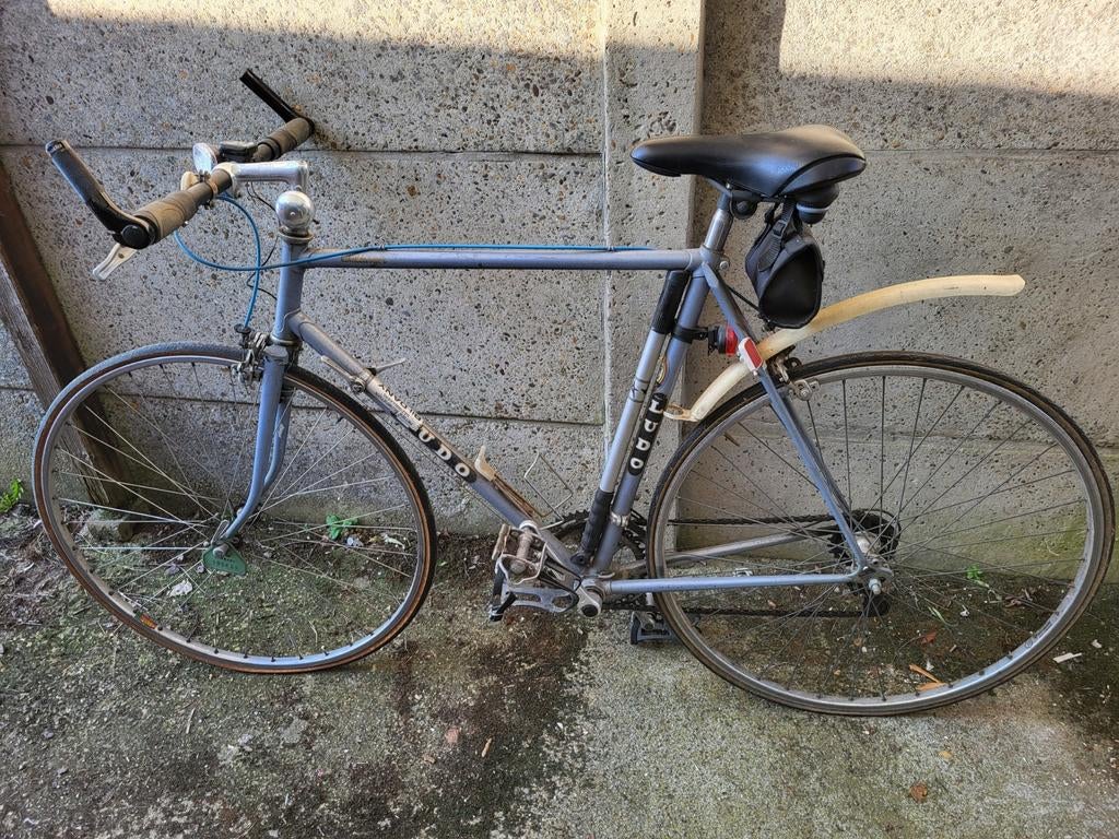 Oude Ludo koersfiets, Fietsen en Brommers, Ophalen