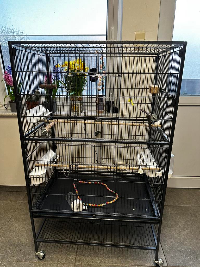 Papegaai kooi, Dieren en Toebehoren, Ophalen of Verzenden, Zo goed als nieuw, Kooi