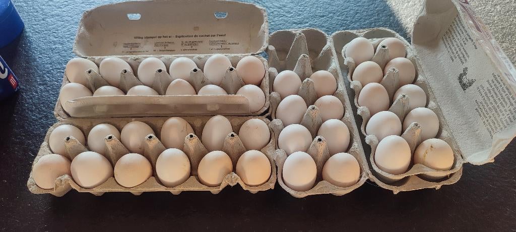 Verse eieren, Diversen, Levensmiddelen, Ophalen