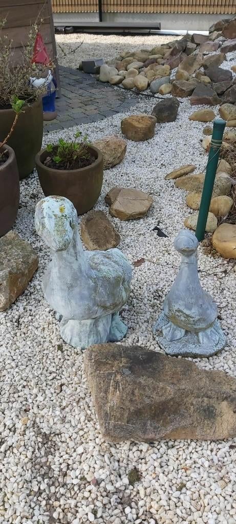 koppel ganzen, Enlèvement, Utilisé, Animal