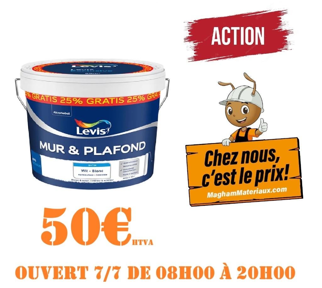 PEINTURE LEVIS 10L, Bricolage & Construction, Enlèvement, Neuf, Peinture