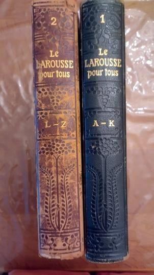 Ancien dictionnaire illustré (Larousse), Livres, Dictionnaires, Enlèvement, Utilisé, Français, Autres éditeurs