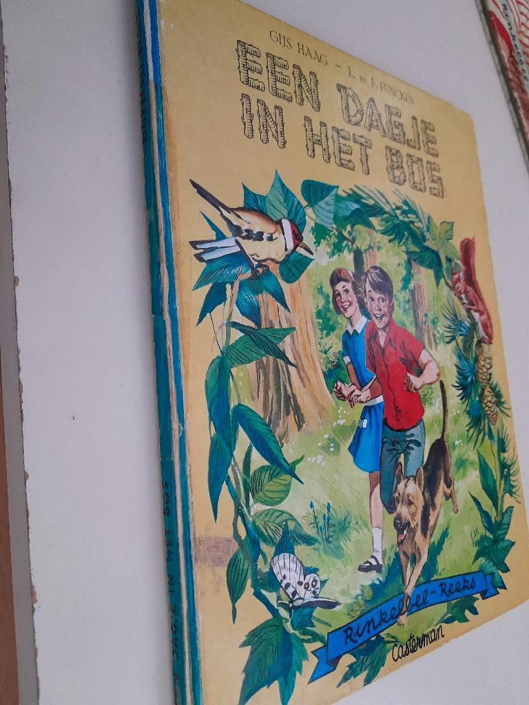 rinkelbel casterman boekjes, Ophalen of Verzenden, Gelezen