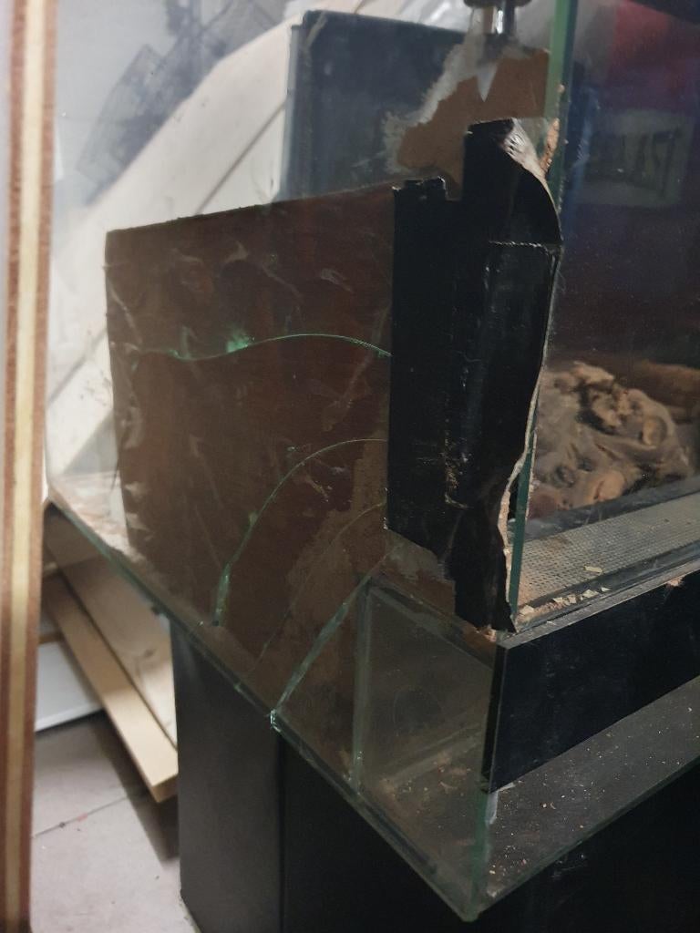 Terrarium, Dieren en Toebehoren, Ophalen, Gebruikt, Terrarium of Paludarium