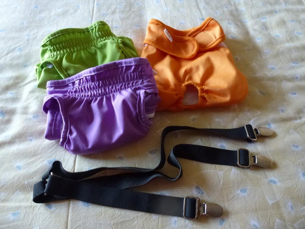 3 culottes pour chiens, Animaux & Accessoires, Enlèvement ou Envoi, Comme neuf